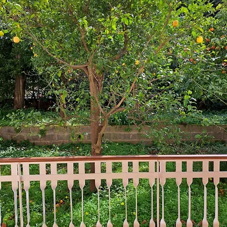 Appartamento The Garden Rose Sant'Agnello