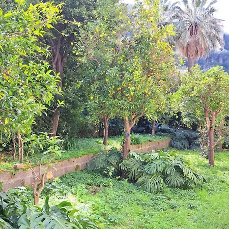 The Garden Rose Apartament *