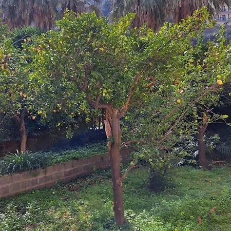 The Garden Rose Apartament